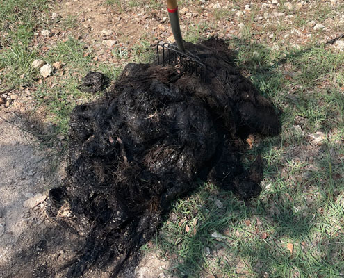 Root Removal Services - Ferguson & Sons Root Removal Services