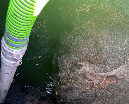 Ferguson & Son Septic Tank Pumping and Root Removal